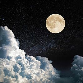 Foto: AdobeStock #314944538 von Alexander Ozerov